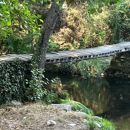 La Eliza אתר קמפינג