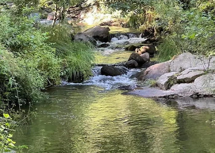 La Eliza Lanzahíta Parque de Campismo Lanzahita