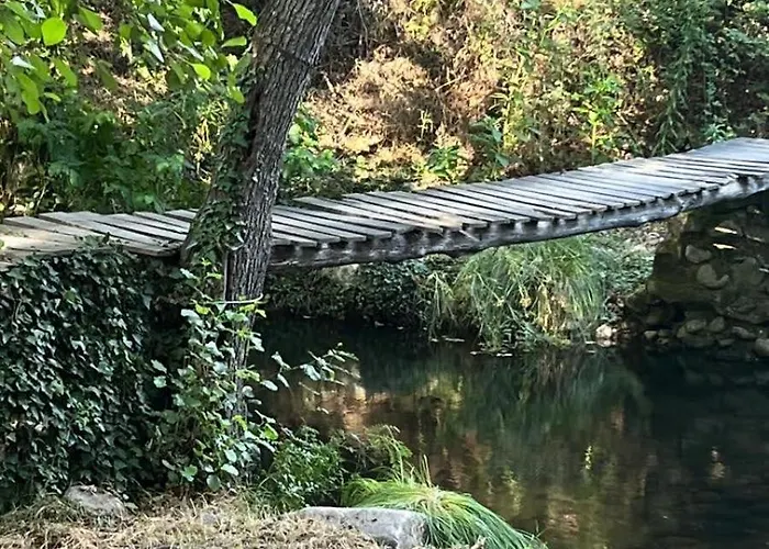La Eliza Lanzahíta Parque de Campismo
