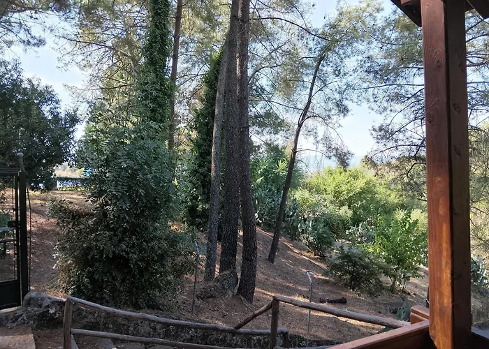 La Eliza Lanzahíta *